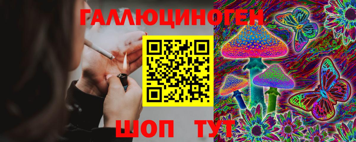 Псилоцибиновые грибы Cubensis  Вход с VPN  Псилоцибиновые грибы Cubensis  Елец 