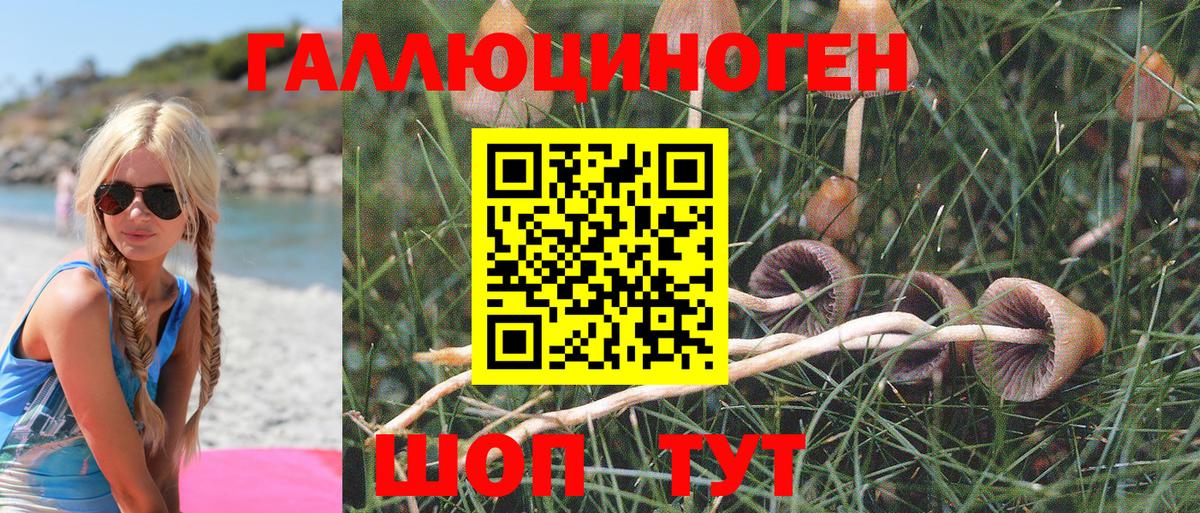 Псилоцибиновые грибы MAGIC MUSHROOMS Елец